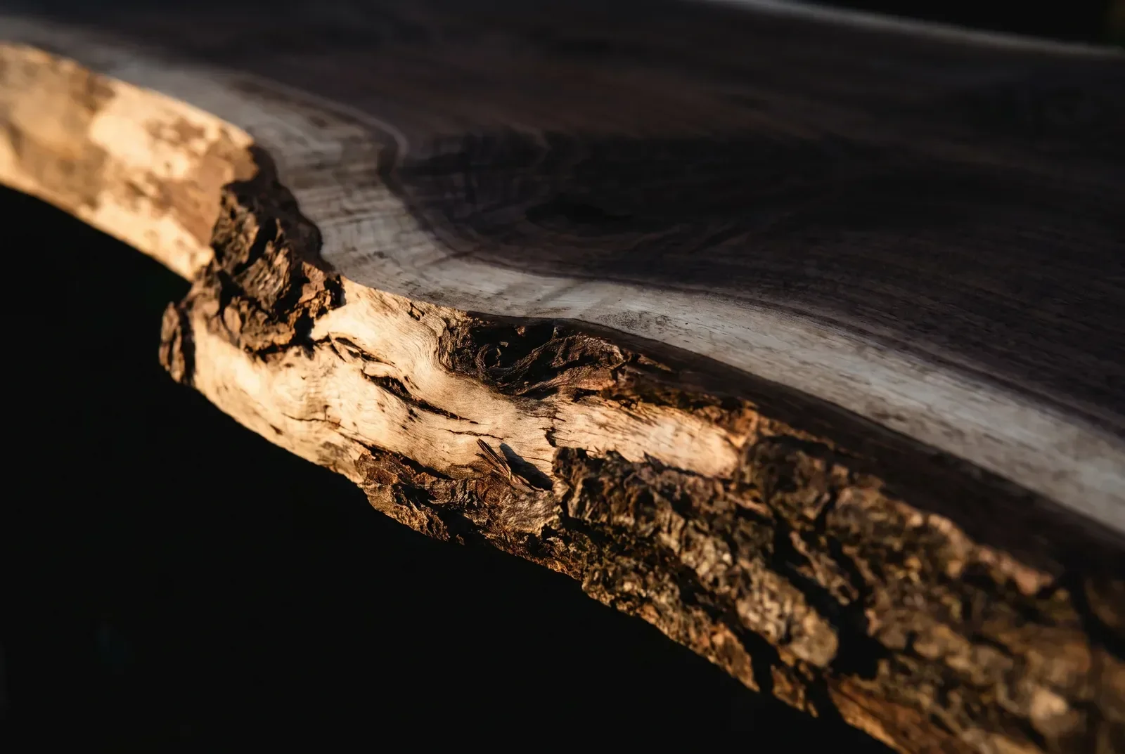 Raking macro along the live edge of a thick walnut slab, showing the natural profile, pale sapwood and remnant bark.